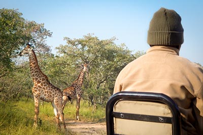 On A Vuyani Game Drive